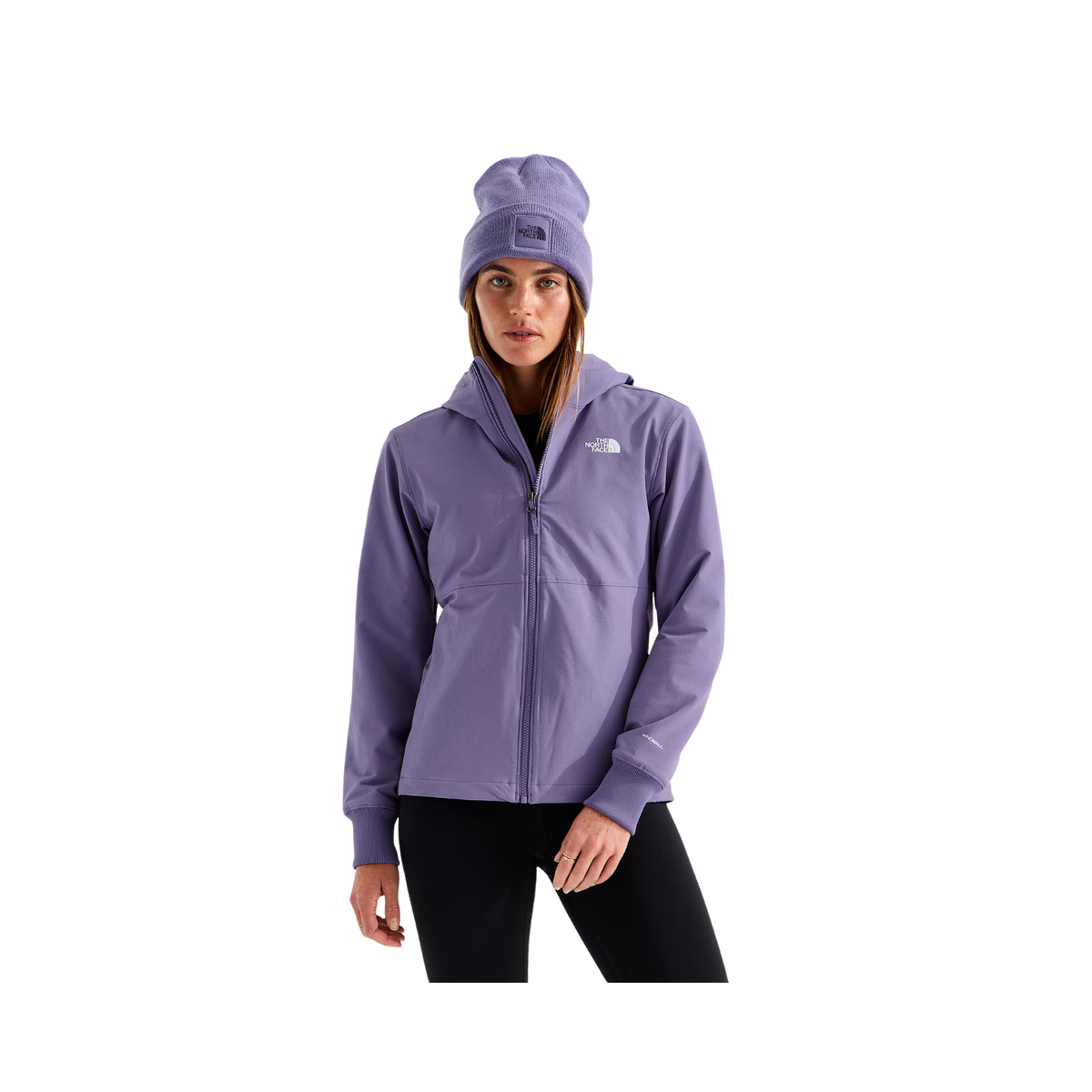 NORTH FACE W SHELBE RASCHEL HOODIE GROUNDED PLUM