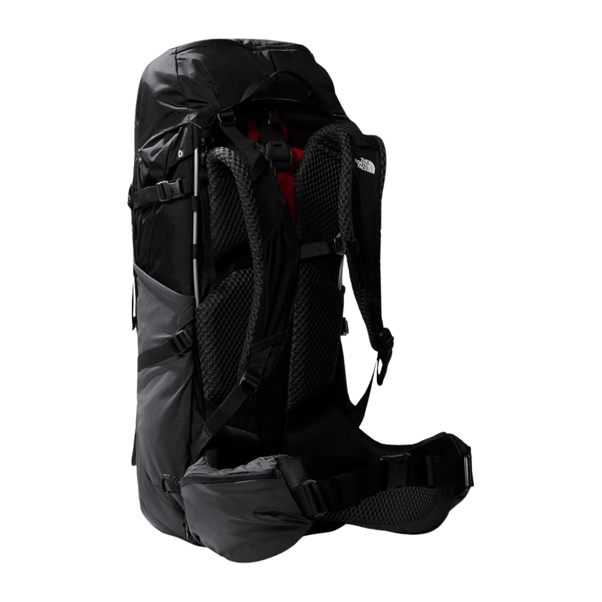 THE NORTH FACE TRAIL LITE 50 BACKPACK - TNF BLACK/ASPHALT GREY - BACK VIEW