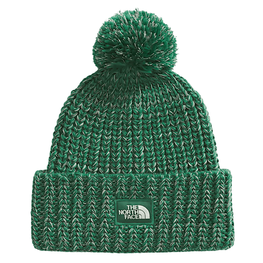 NORTHFACE COZY CHUNKY CABIN CUFFED BEANIE - EVERGREEN/HUNTER GRN - FRONT VIEW