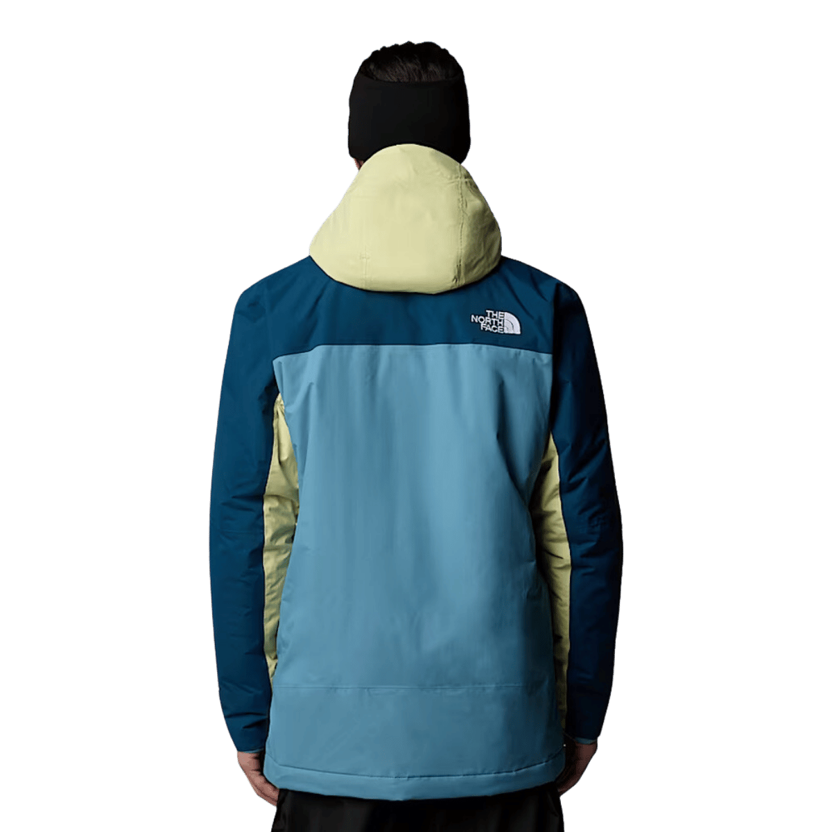 NORTHFACE FREEDOM INSULATED JACKET - ALGAE BLUE WW BACK