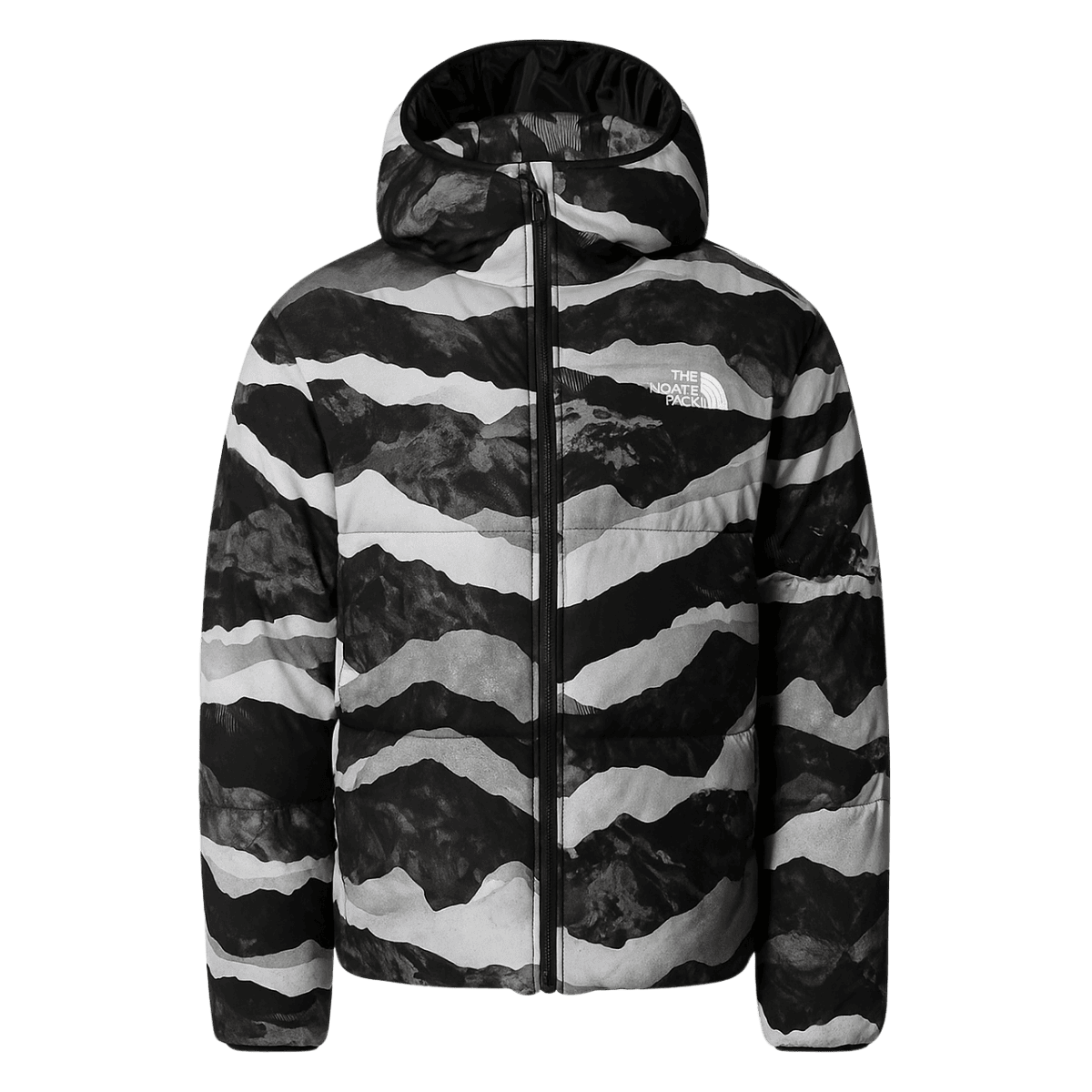 NORTHFACE BOYS REVERSIBLE NORTH DOWN HOODED JACKET - TNF BLACK MOUNTAIN - FRONT VIEW