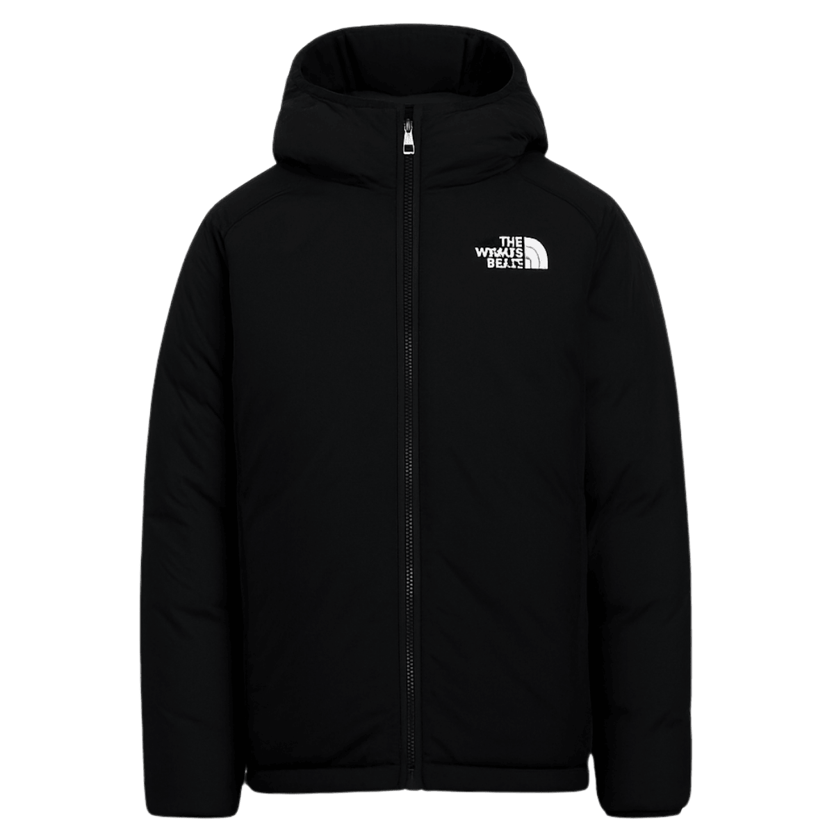 NORTHFACE BOYS REVERSIBLE NORTH DOWN HOODED JACKET - TNF BLACK MOUNTAIN - BLACK ANGLE 