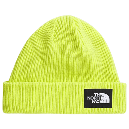 NORTHFACE SALTY DOG LINED BEANIE - FIZZ LIME - FRONT VIEW