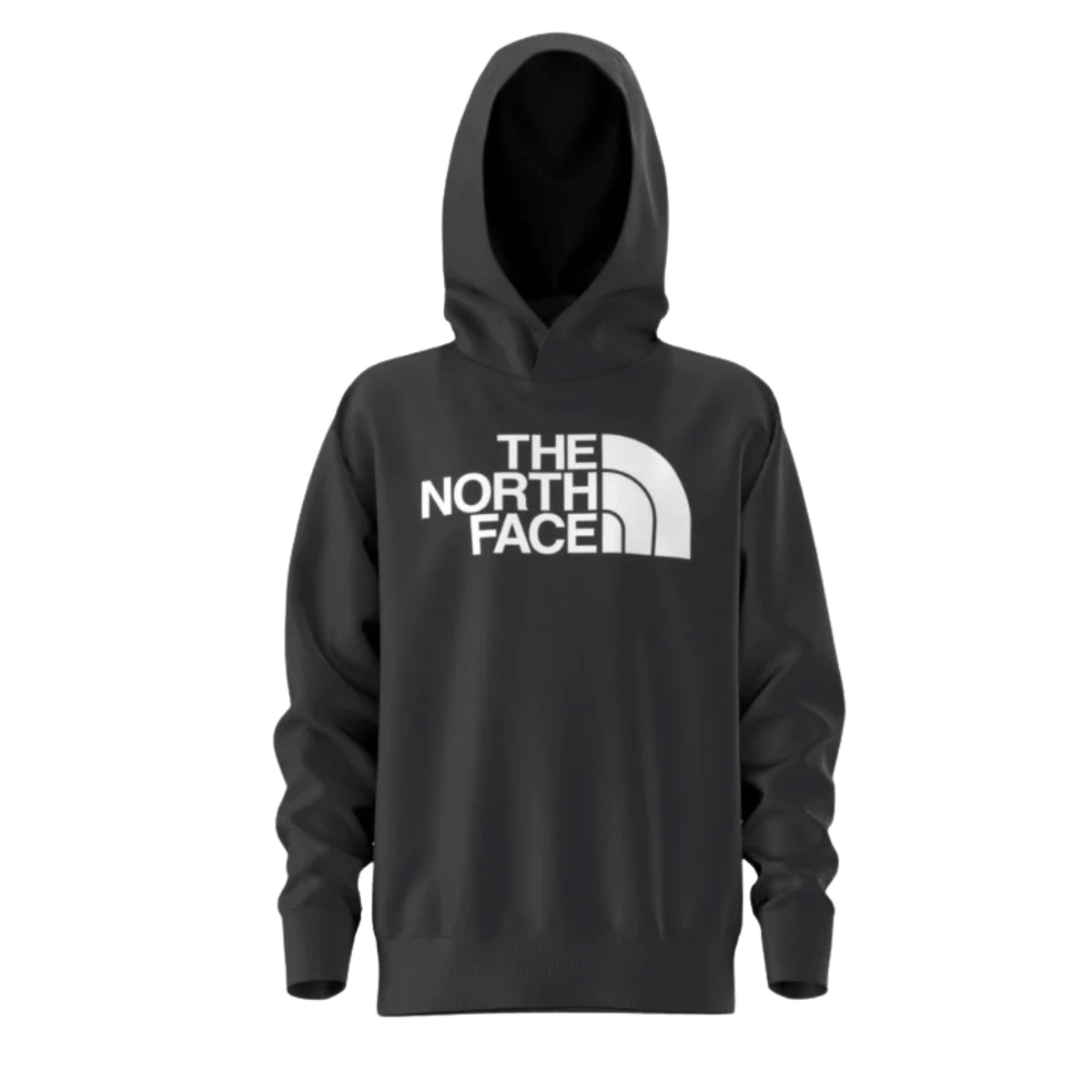 NORTHFACE TEEN HALF DOME CAMP FLEECE PULLOVER HOODIE - TNF BLACK/TNF WHITE FRONT