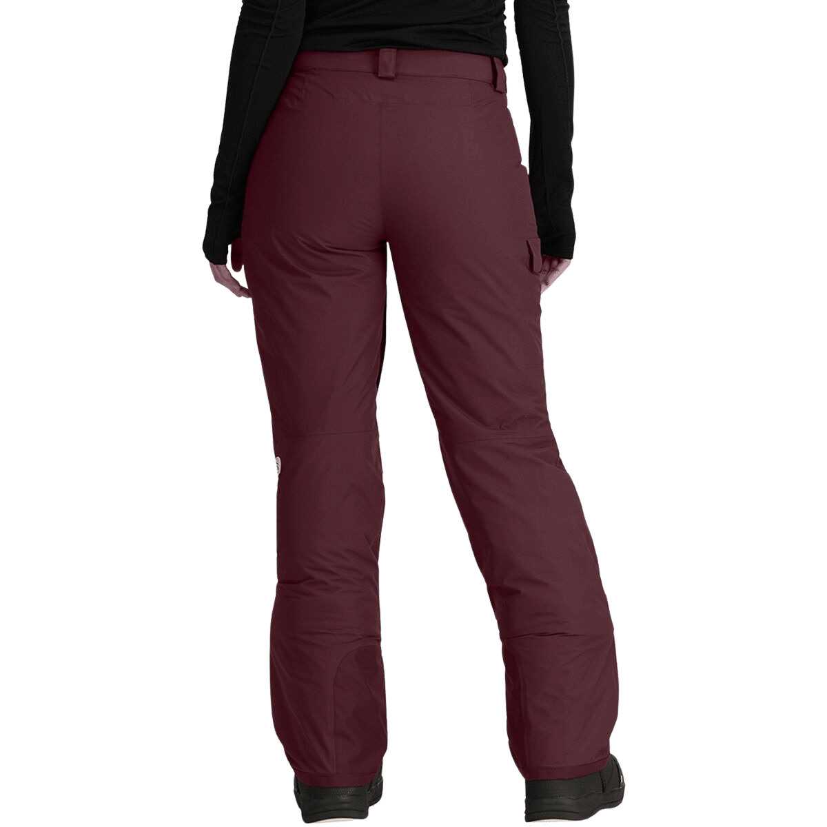 NORTHFACE WOMEN'S FREEDOM INSULATED PANTS - ALPINE PLUM WW BACK