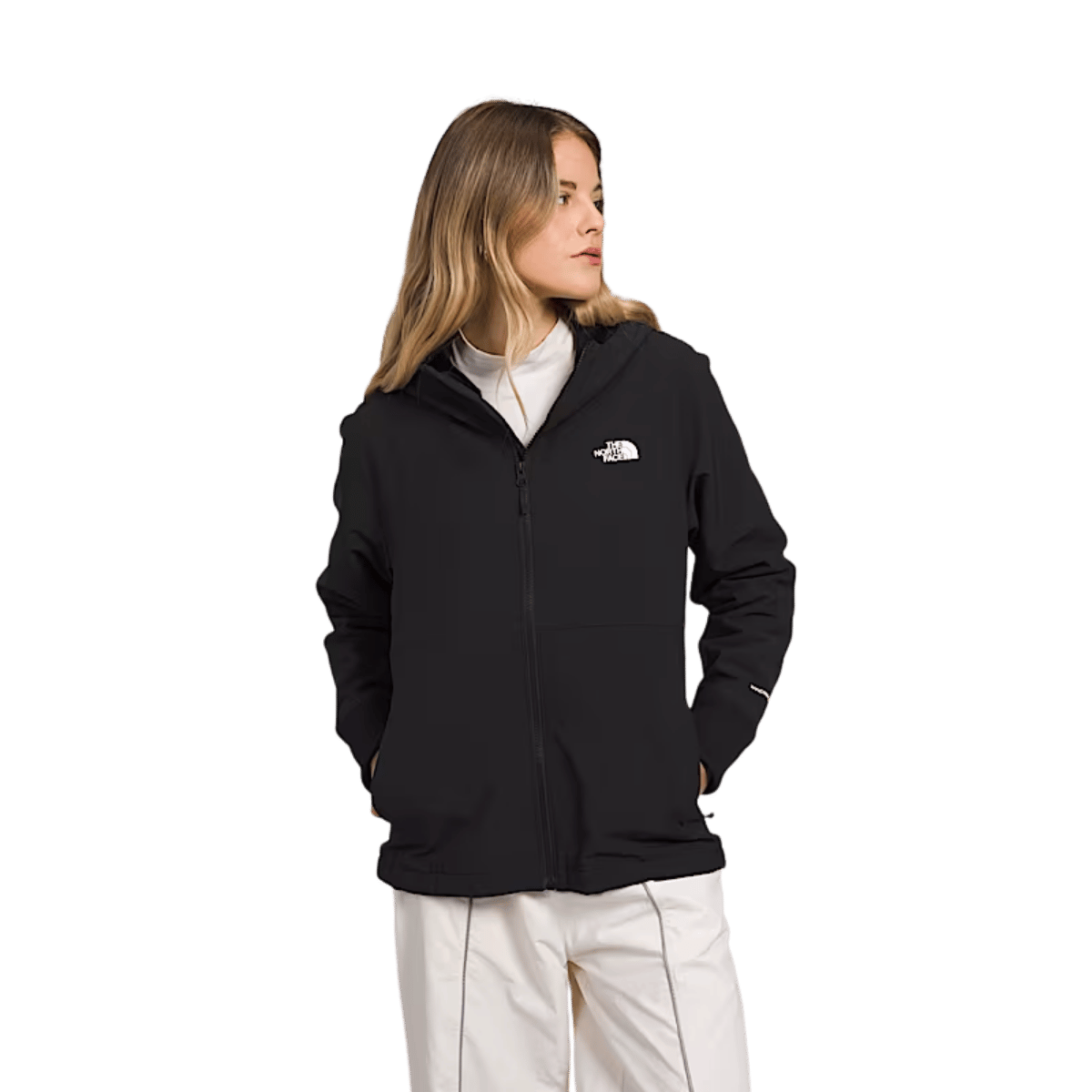 NORTHFACE WOMEN'S SHELBE RASCHEL HOODIE NPF - TNF BLACK-NPF WW FRONT