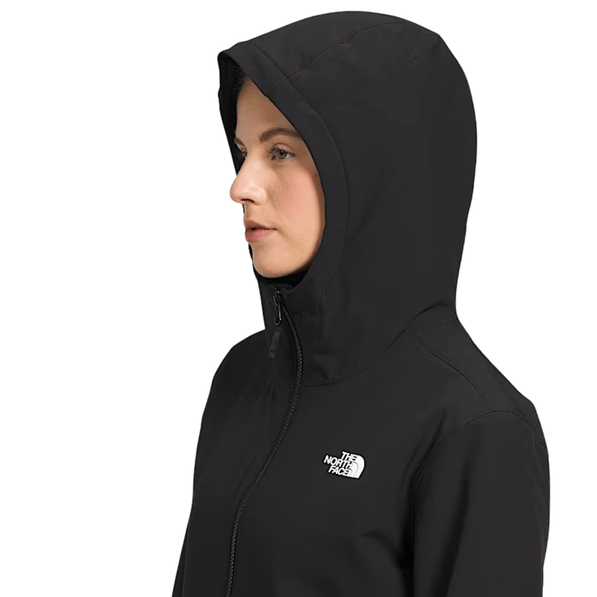 NORTHFACE WOMEN'S SHELBE RASCHEL HOODIE NPF - TNF BLACK-NPF WW HOODIE