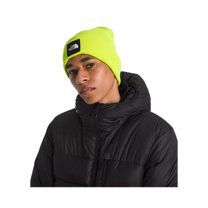 NORTHFACE_BIG_BOX_CUFFED_BEANIE_FIZZ_LIME_BACK