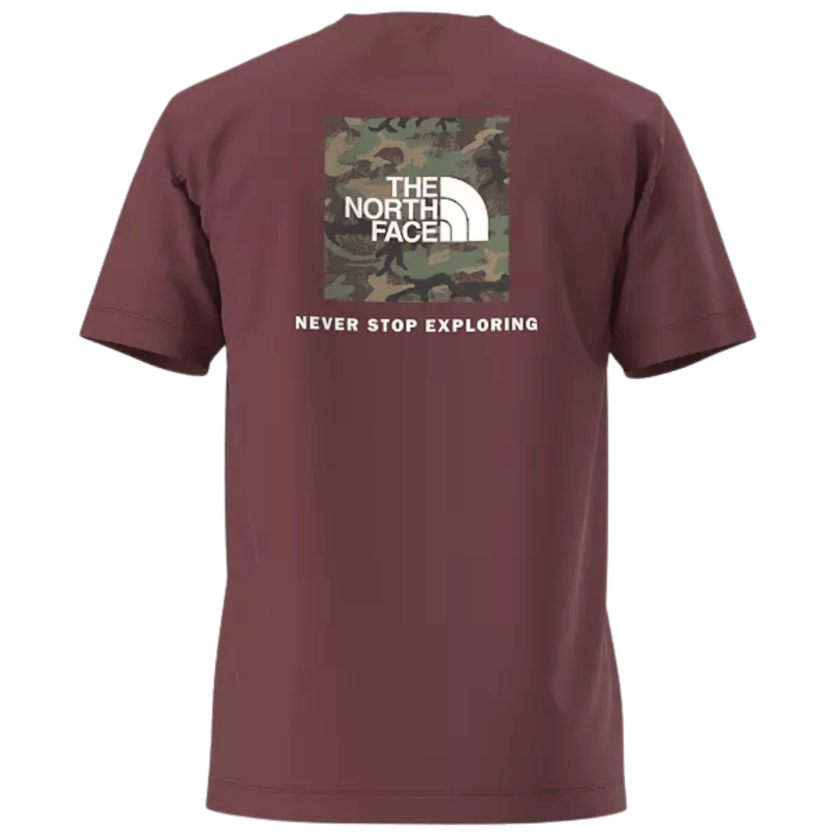 NORTHFACE CORE BOX NSE SHORTSLEEVE TEE - SUMAC BACK