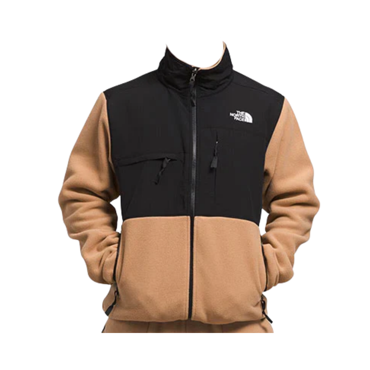 NORTHFACE_DENALI_POLARTEC_JACKET_FRONT