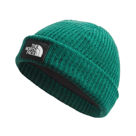 NORTHFACE_SALTY_LINED_CLASSIC_BEANIE_EVERGREEN_FRONT