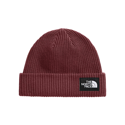 NORTHFACE_SALTY_LINED_FLASHDRY_BEANIE_SUMAC_FRONT