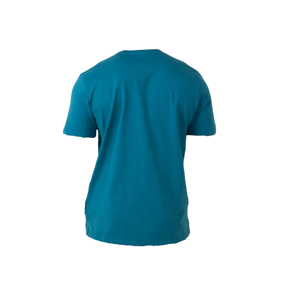 NORTHFACE_SHORT_SLEEVE_HALF_DOME_TEE_BLUE_MOSS_BACK