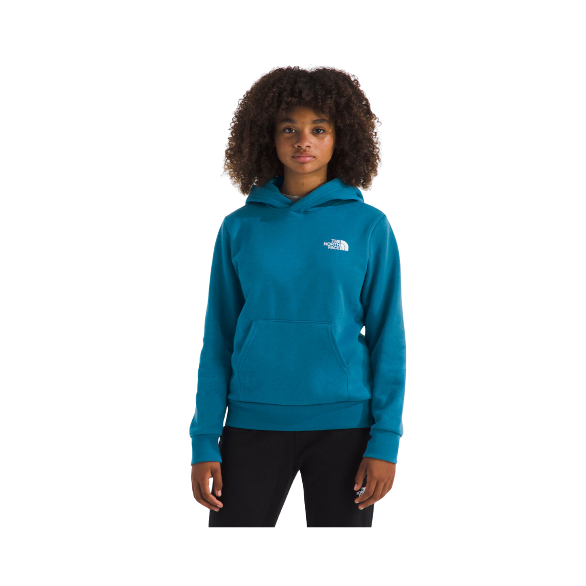 NORTHFACE_TEEN_EVOLUTION_BOX_NSE_REGULAR_FIT_PULLOVER_HOOD_FRONT