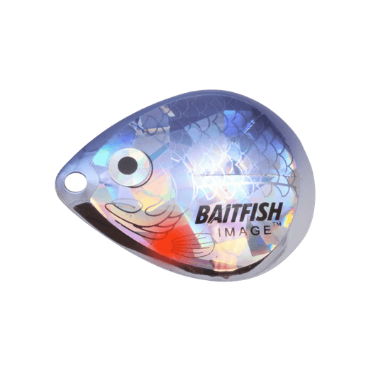 NORTHLAND BAITFISH-IMAGE BLADES 3/BAG #4 - SILVER SHINER, FULL VIEW