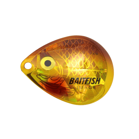 NORTHLAND BAITFISH-IMAGE CO BLADES 3/BAG #3- GOLDSHINER, FULL VIEW
