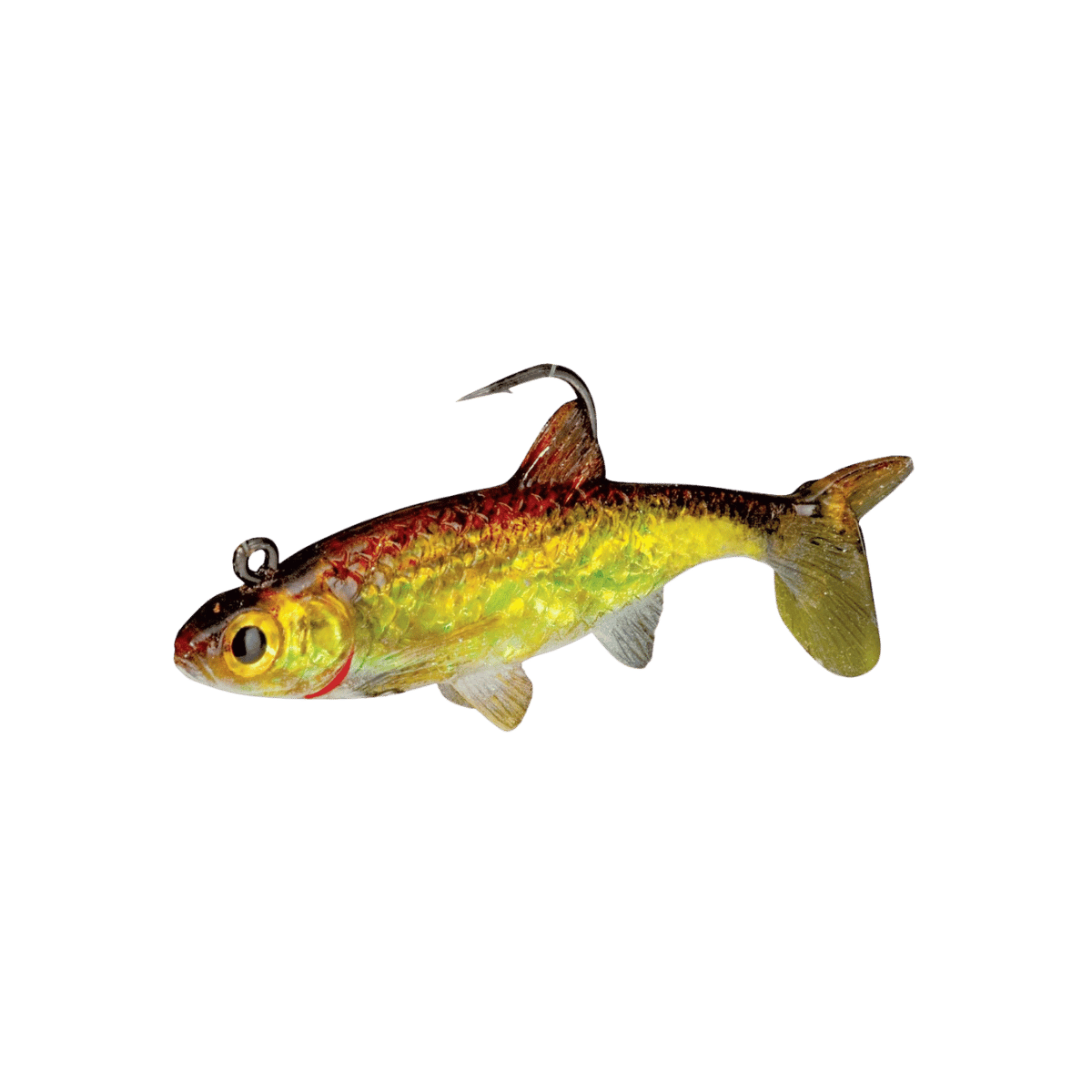 NORTHLAND LIVE-FORAGE SWIMBAITS 2.5IN GOLDSHINER