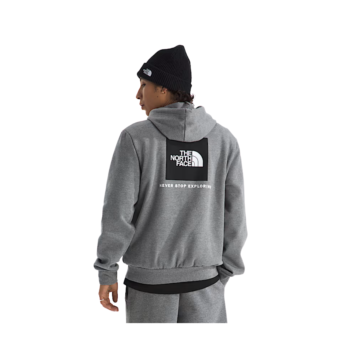 NORTH_FACE_EVOLUTION_BOX_NSE_REGULAR_FIT_HOODIE_BACK
