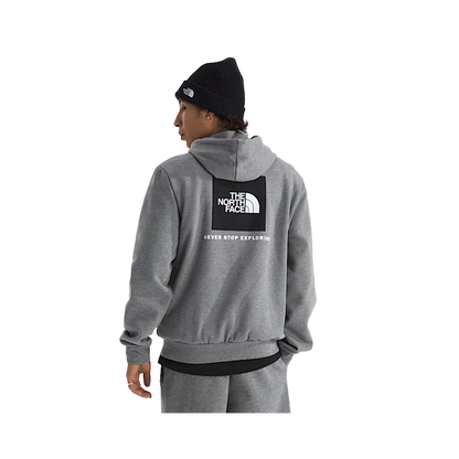 NORTH_FACE_EVOLUTION_BOX_NSE_REGULAR_FIT_HOODIE_BACK