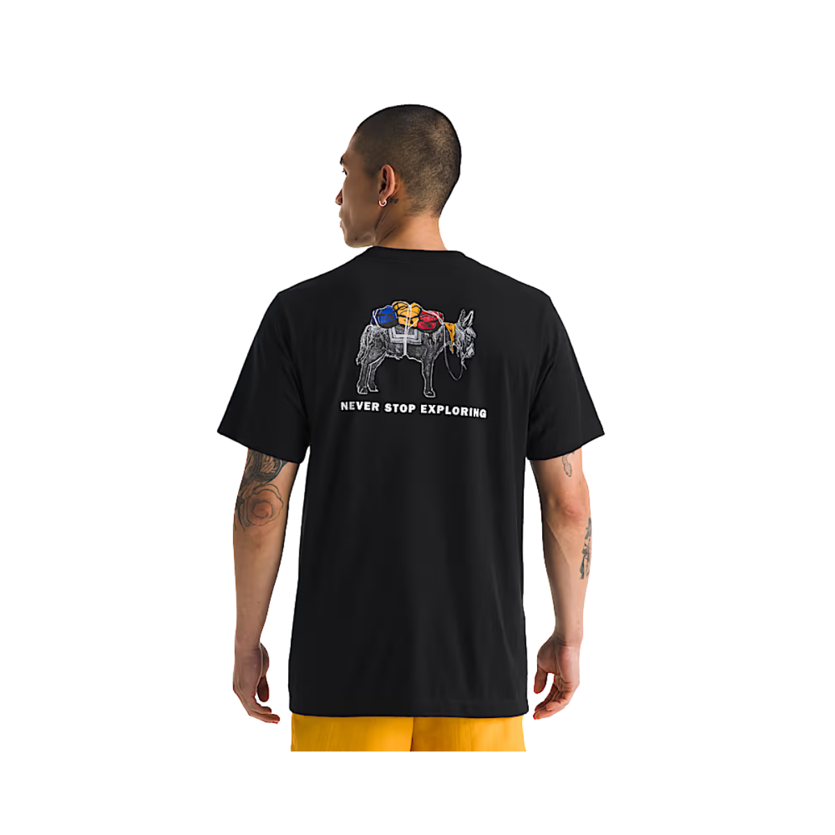 NORTH_FACE_EVOLUTION_PACK_SHORT_SLEEVE_REGULAR_FIT_TEE_BACK