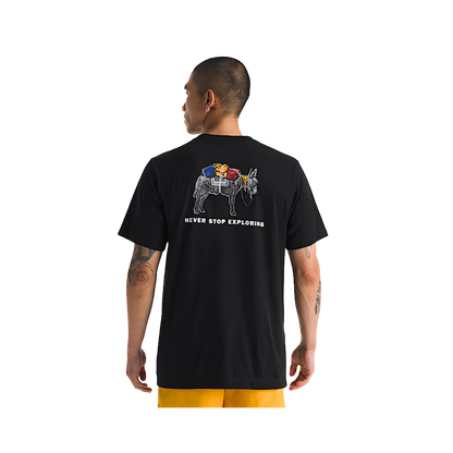 NORTH_FACE_EVOLUTION_PACK_SHORT_SLEEVE_REGULAR_FIT_TEE_BACK