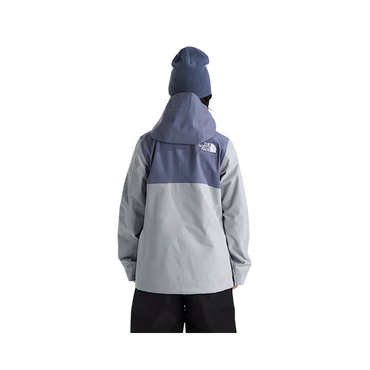 NORTH_FACE_WOMEN_DRIFTVIEW_DRYVENT_ANORAK_BACK