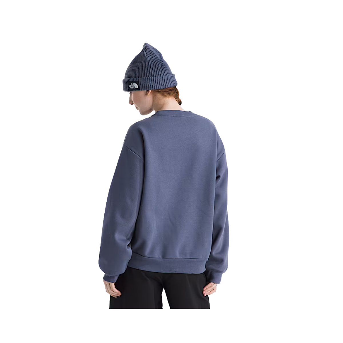 NORTH_FACE_WOMEN_EVOLUTION_SIMPLE_DOME_OVERSIZED_FIT_CREW_BACK