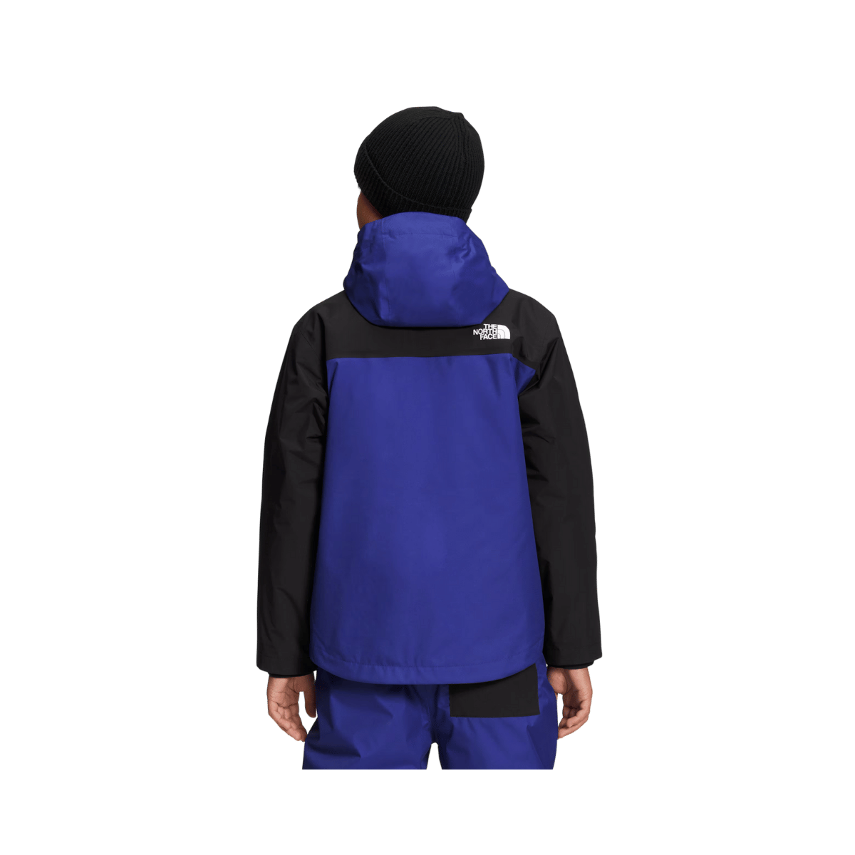 THE NORTH FACE BOYS' FREEDOM TRICLIMATE JACKET - LAPIS BLUE - BACK VIEW