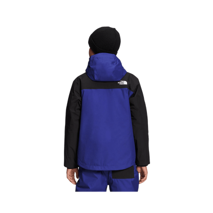 THE NORTH FACE BOYS' FREEDOM TRICLIMATE JACKET - LAPIS BLUE - BACK VIEW