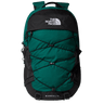 EVRGRN/TNF BLK