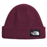 BOYSENBERRY