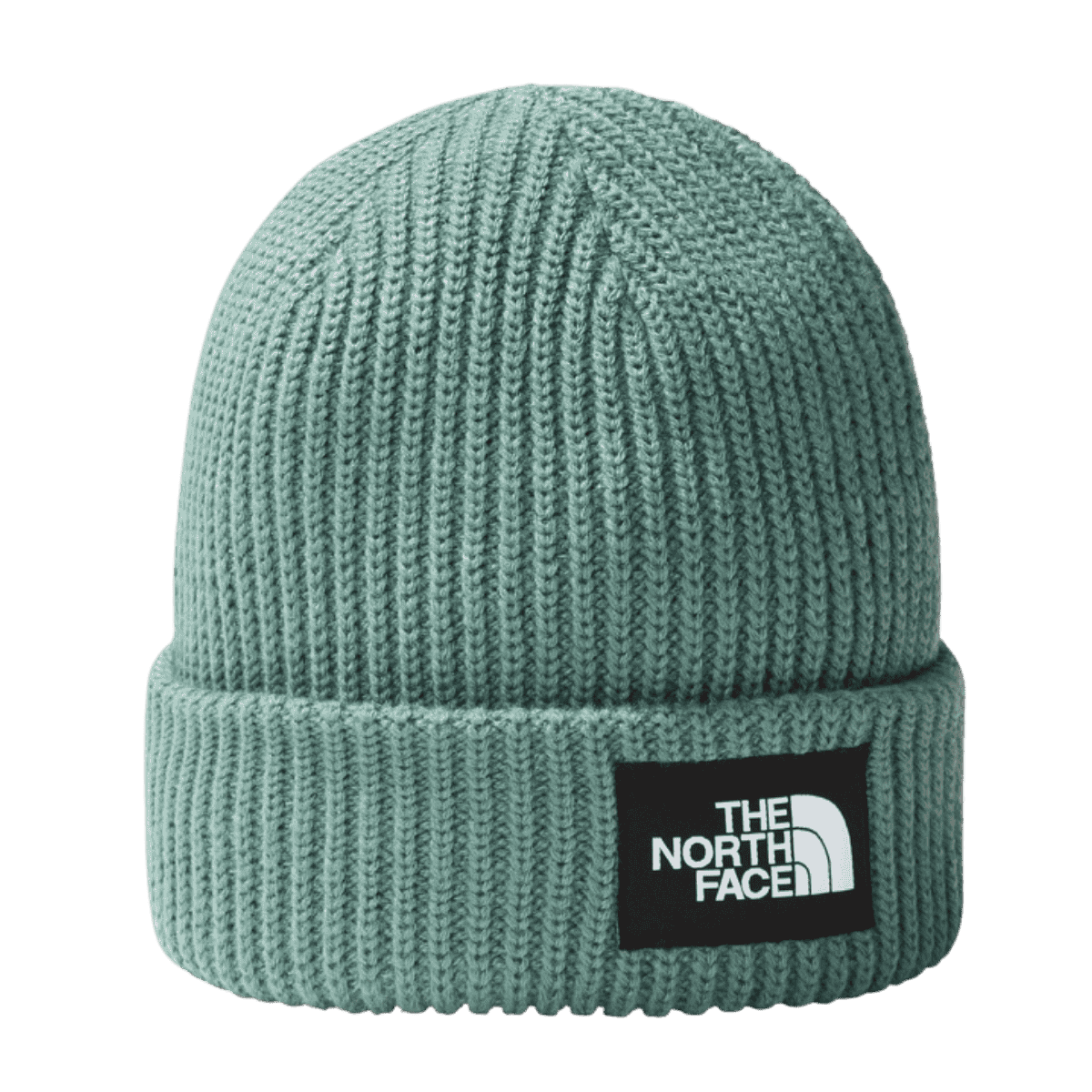 THE NORTH FACE SALTY DOG LINED CUFFED BEANIE HAT - ONE SIZE - DARK SAGE