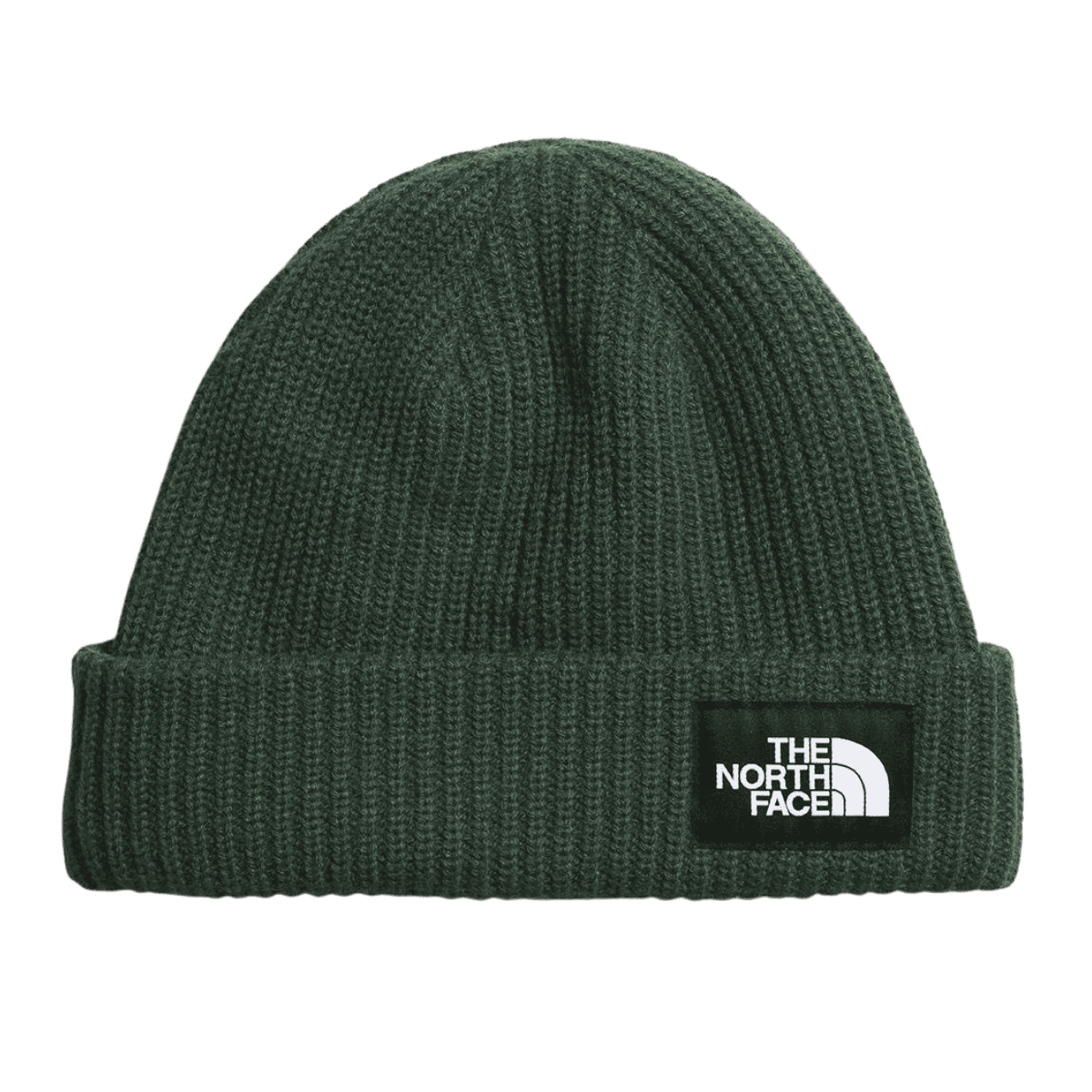 THE NORTH FACE SALTY DOG LINED CUFFED BEANIE HAT - ONE SIZE - PINE NEEDLE