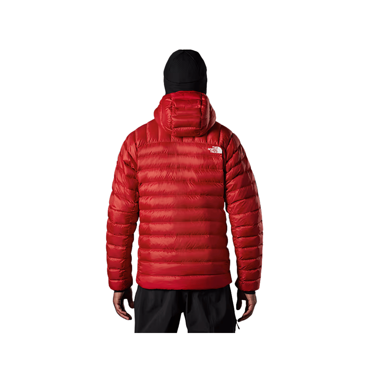 THE NORTH FACE MEN'S SUMMIT BREITHORN HOODIE JACKET - TNF RED - BACK VIEW
