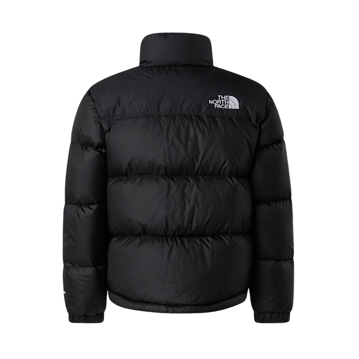 THE NORTH FACE TEEN 1996 RETO NUPTSE JACKET - TNF BLACK - BACK VIEW