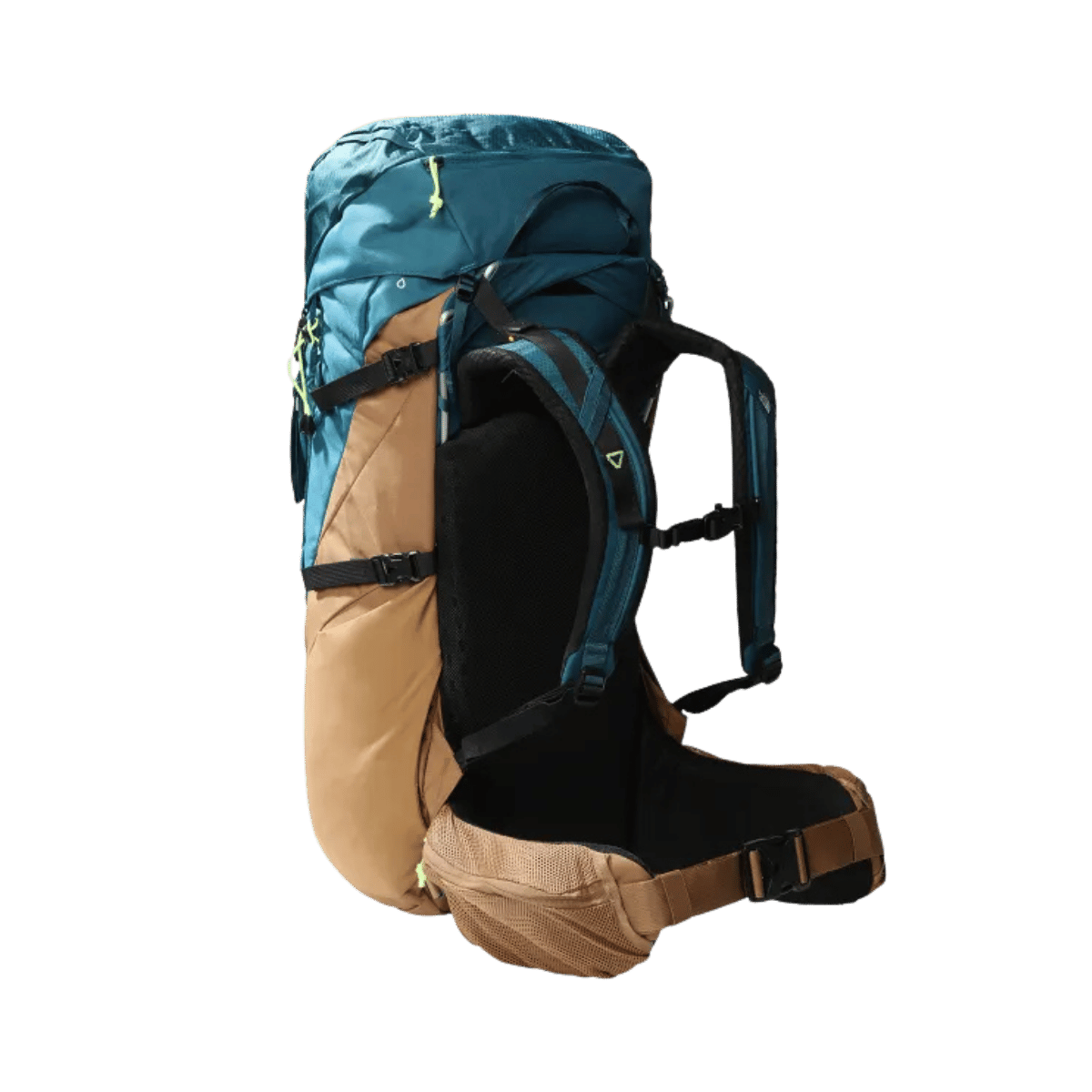THE NORTH FACE TERRA 55 HIKING BACKPACK - BLUE CORAL BROWN - BACK VIEW