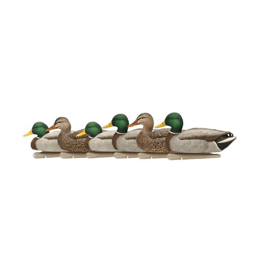 AVIAN X TOP FLIGHT OPEN WATER MALLARDS