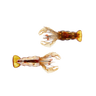 TAN