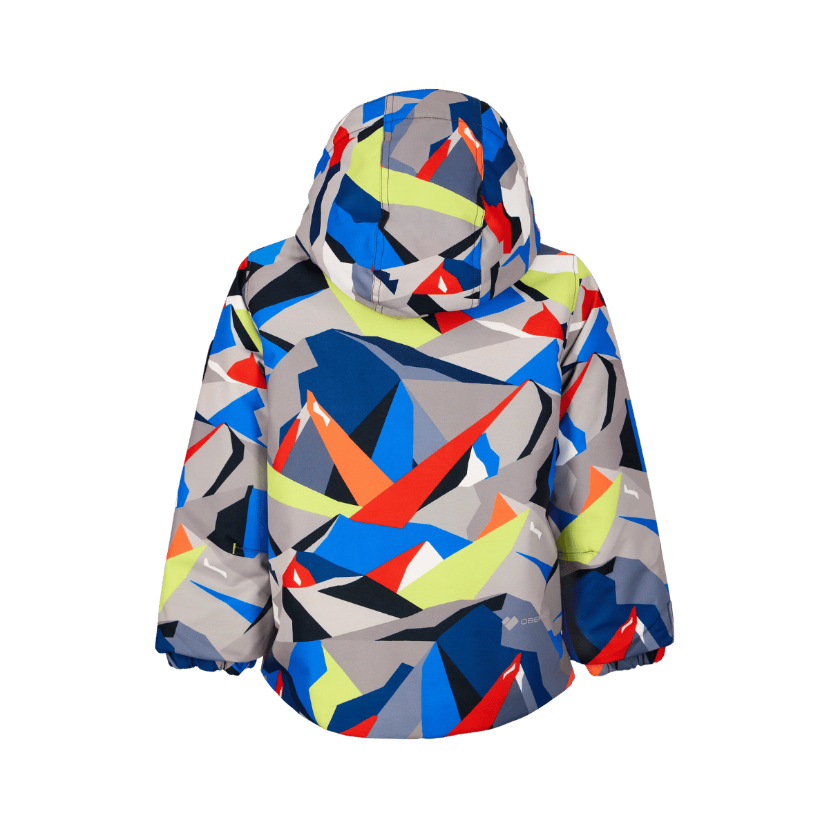 OBERMEYER BOYS' ASHOR JACKET - KALEIDO SLOPE - BACK VIEW