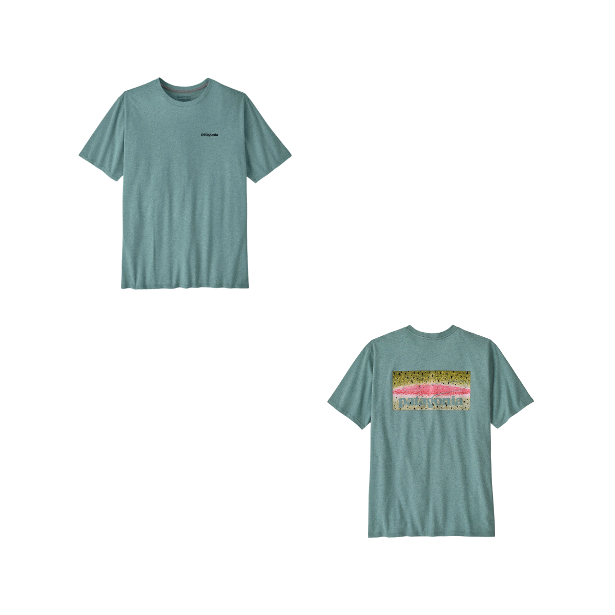 PATAGONIA TAKE A STAND RESPONSIBILTY TEE BLUE SAGE