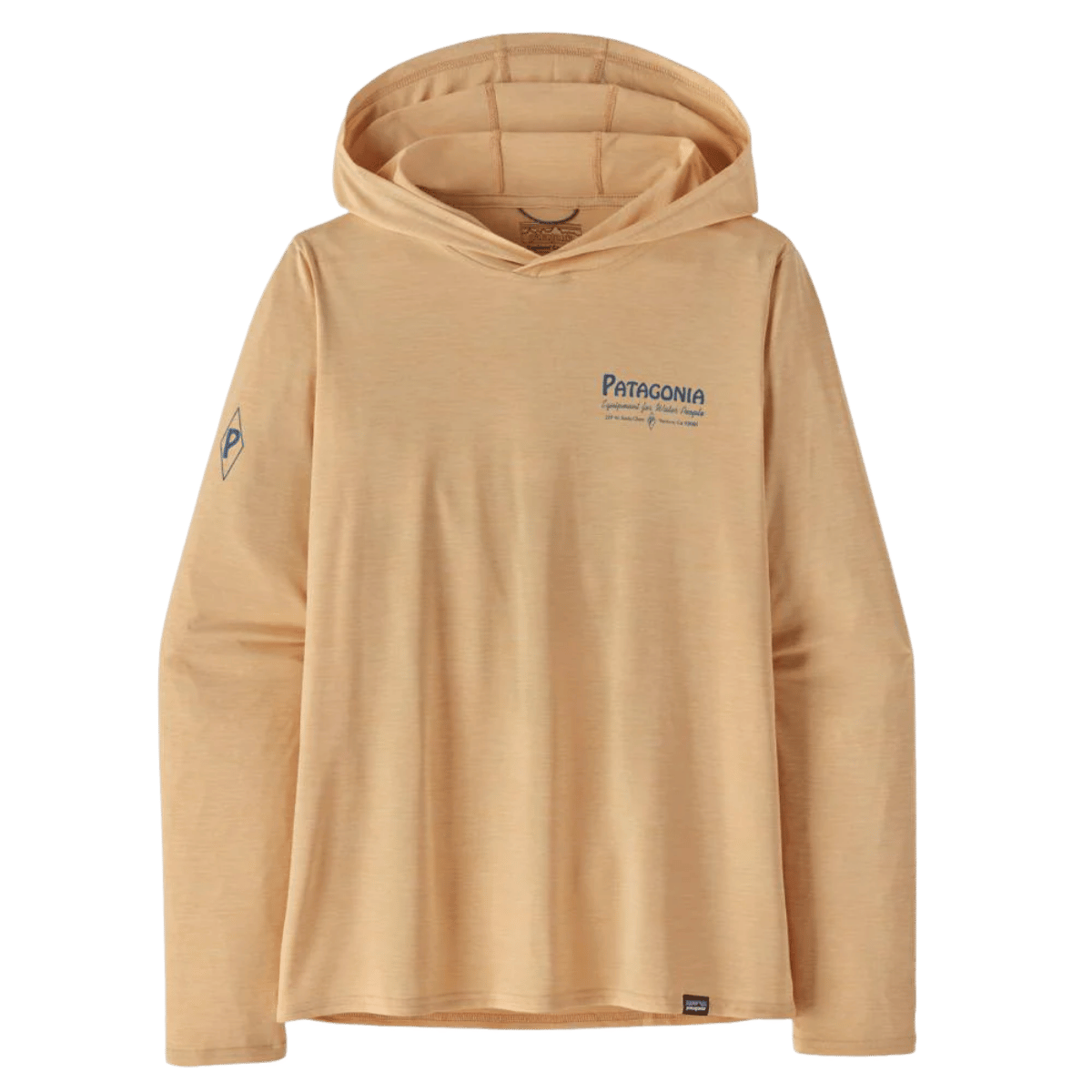 PATAGONIA WOMEN'S CAP COOL DAILY GRAPHIC HOODY - FEATHER GRAY FRONT