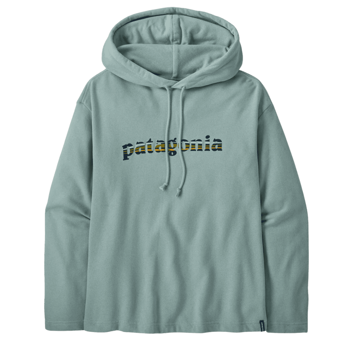 PATAGONIA WOMEN'S LIGHTWEIGHT '73 TEXT LOGO HOODY - THERMAL BLUE FRONT