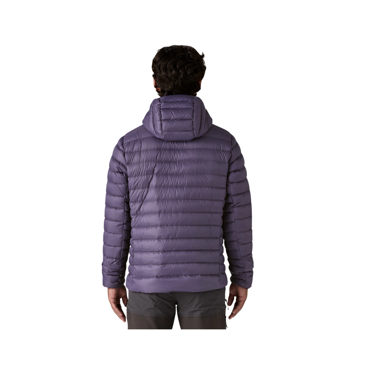 PATAGONIA_CLASSIC_DOWN_SWEATER_HOODY_BACK