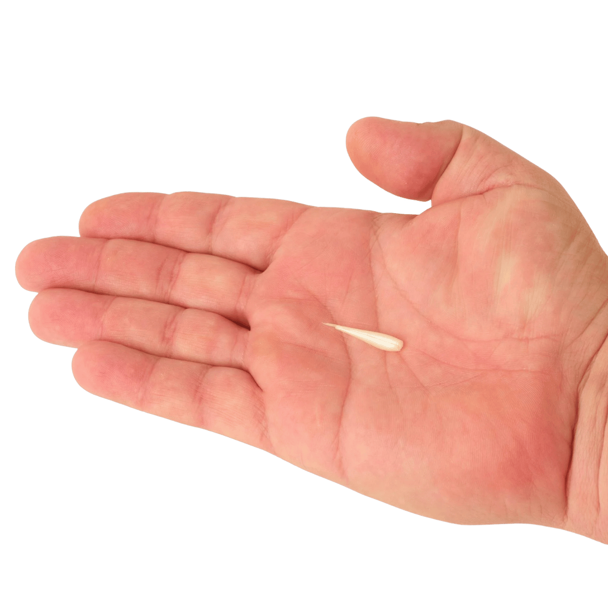 BERKLEY POWERBAIT MINNOW 1IN SCENTED BAIT - PEARL WHITE - ON HAND