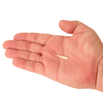 BERKLEY POWERBAIT MINNOW 1IN SCENTED BAIT - PEARL WHITE - ON HAND