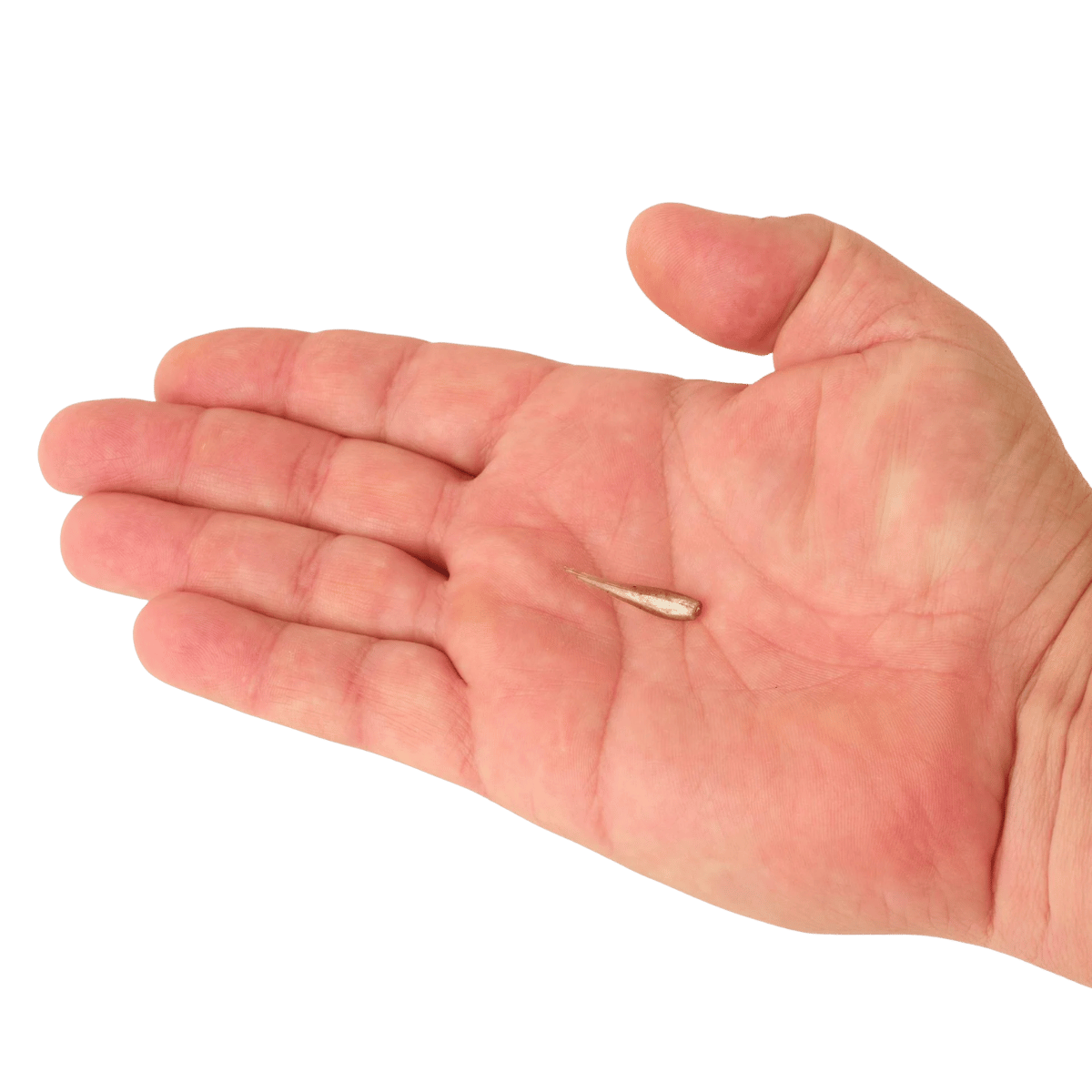 BERKLEY POWERBAIT MINNOW 1IN SCENTED BAIT - SMELT - ON HAND