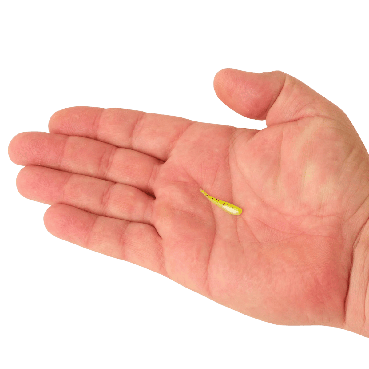 BERKLEY POWERBAIT MINNOW 1IN SCENTED BAIT - CHARTREUSE - ON HAND