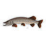 PIKE