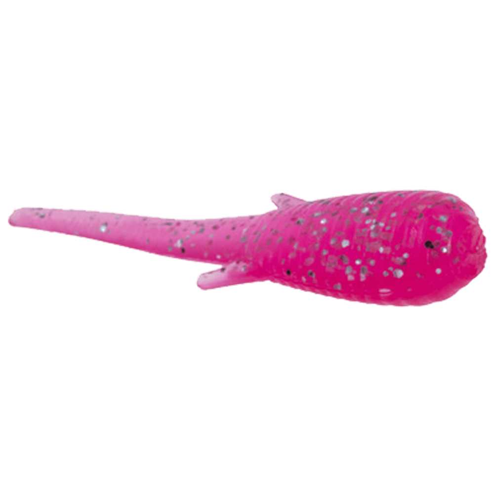 CLAM SOLDIER FLY
Pink Silver
