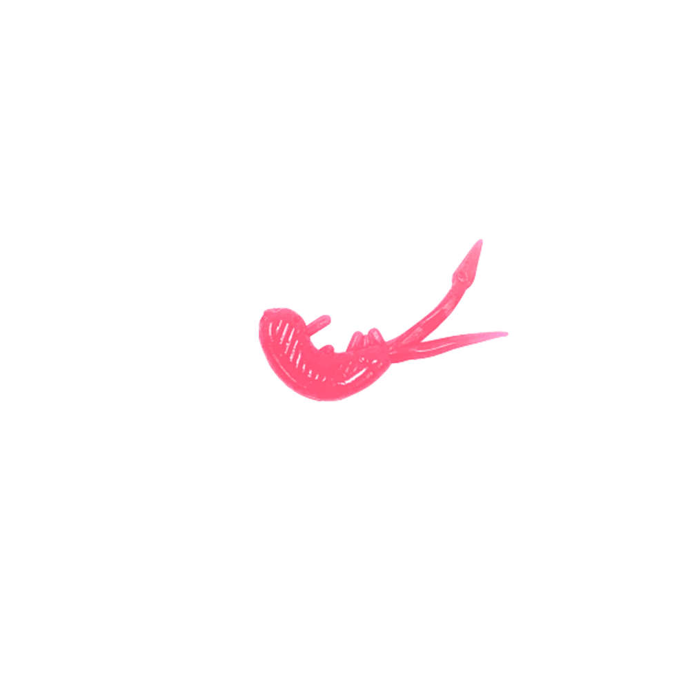CLAM SCUDI XL
Pink Glow